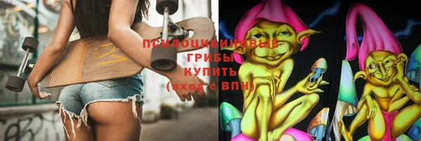 МДПВ Няндома