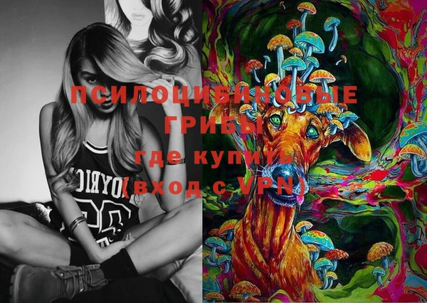 мяу мяу мука Нязепетровск