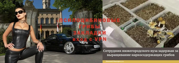 каннабис Новозыбков