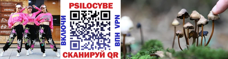 Псилоцибиновые грибы GOLDEN TEACHER  Белая Холуница 